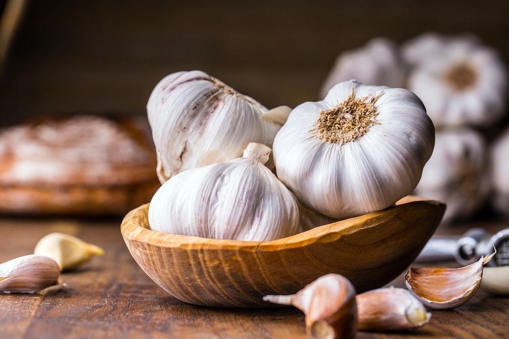 boost immune system garlic-min